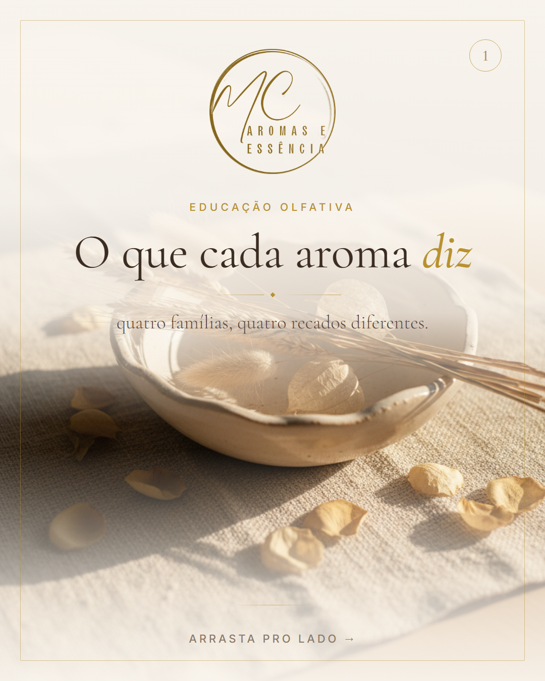 Arte da peca 1 de 6
